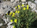 065-09