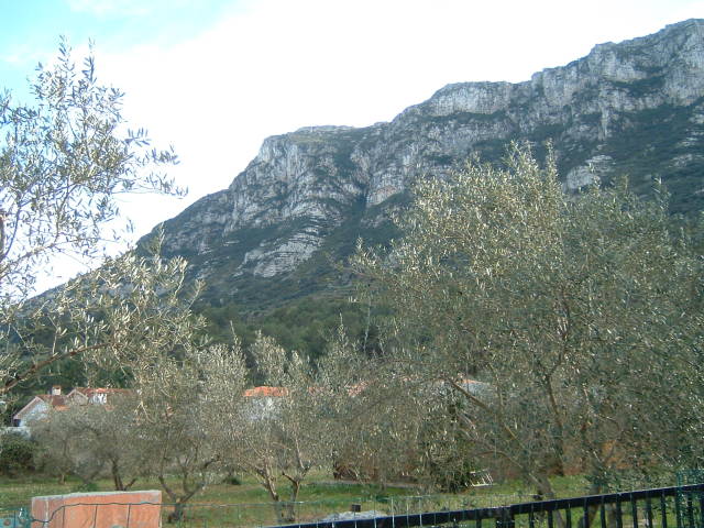 003.JPG