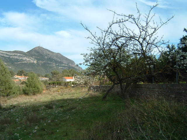 004.JPG