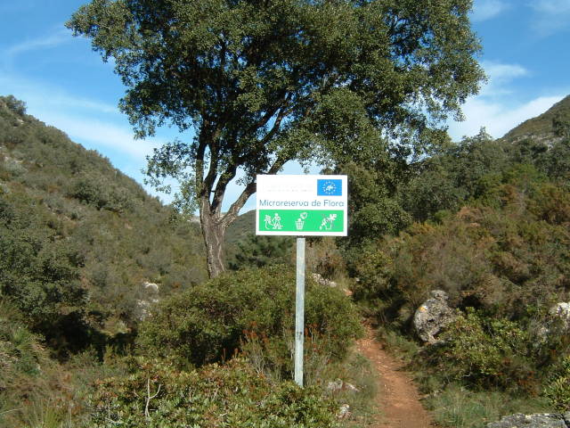008.JPG