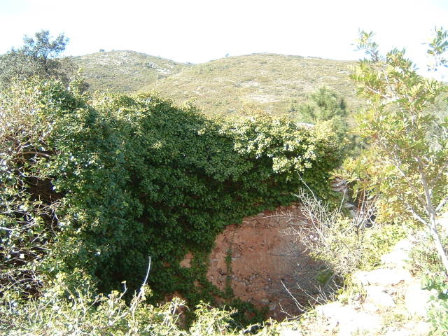 009.JPG