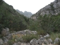 W088-25