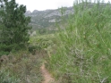 W088-33