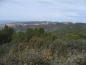 W085-06