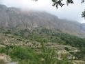 W094-15