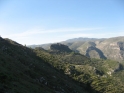 W099-06