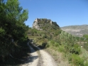 W099-08