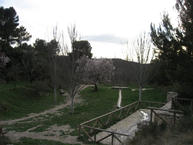 W202-24.JPG