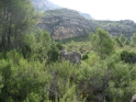 R03-08