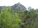 R03-11