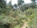 R09-07