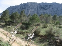 R14-32
