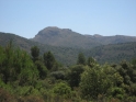 R25-01
